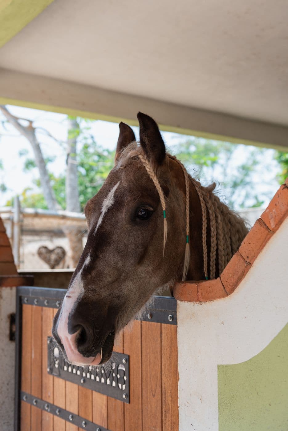 Rancho Contento — foto 20, Sitpach Yucatán
