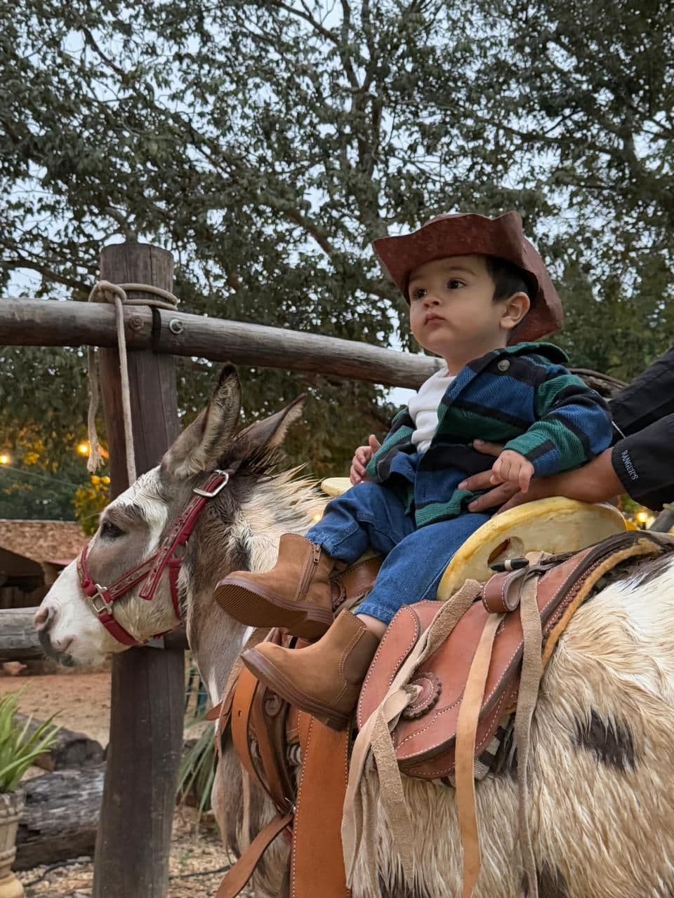 Rancho Contento — foto 176, Sitpach Yucatán