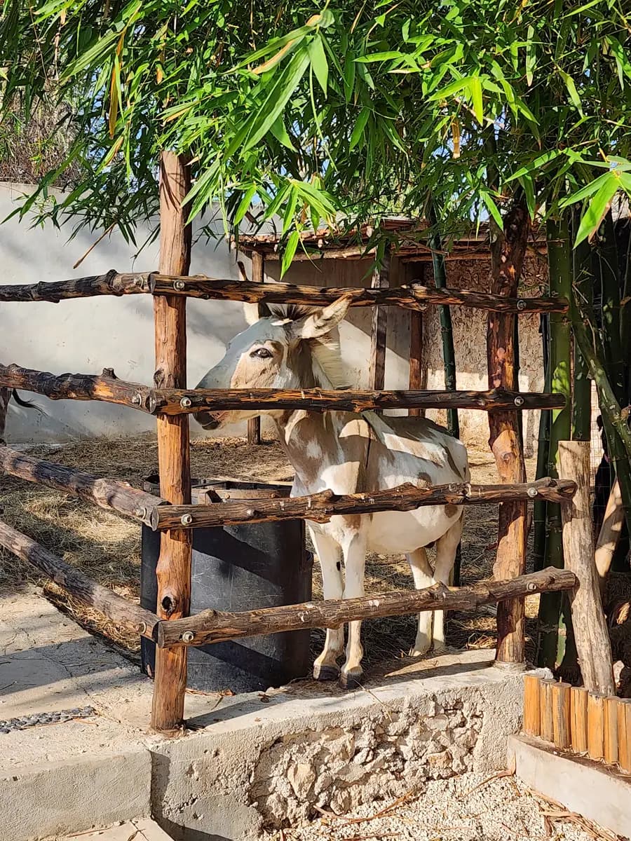 Foto de Lorena Dogre en Rancho Contento