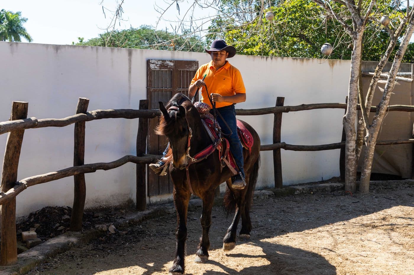 Caballos para haciendas — 1
