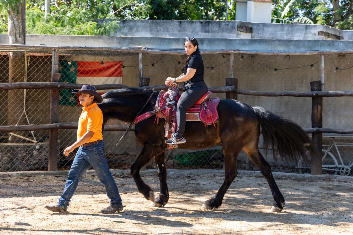 Caballos para haciendas — 3