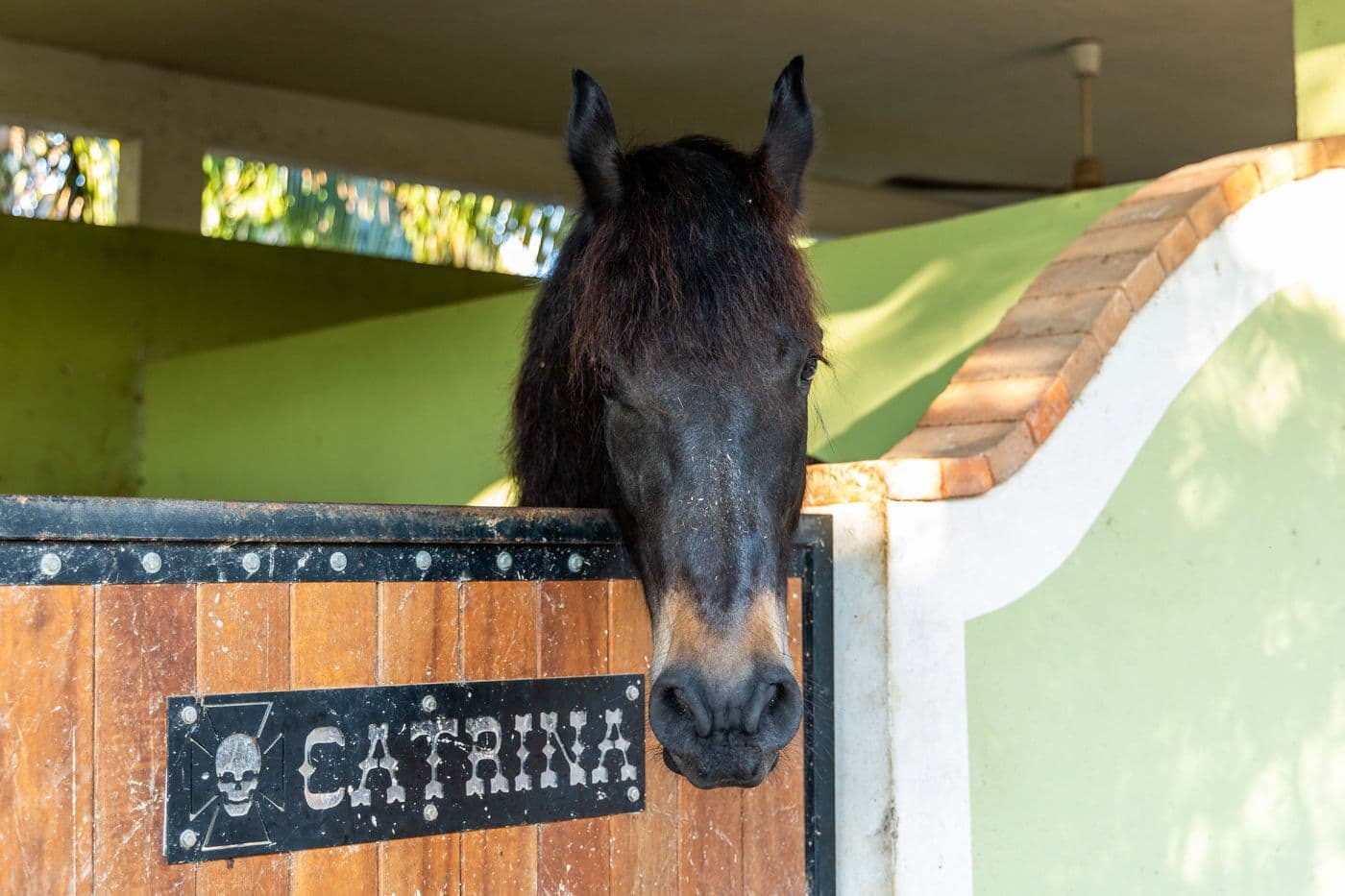Integrante de la familia de Rancho Contento (3)